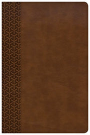 Kjv Everyday Study Bible Tan By Kjv Everyday Study Bible Tan