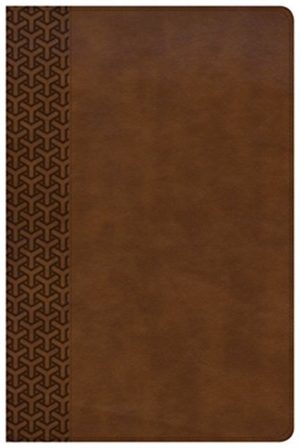 Kjv Everyday Study Bible Tan By Kjv Everyday Study Bible Tan