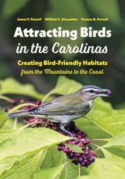 Attracting Birds In The Carolinas