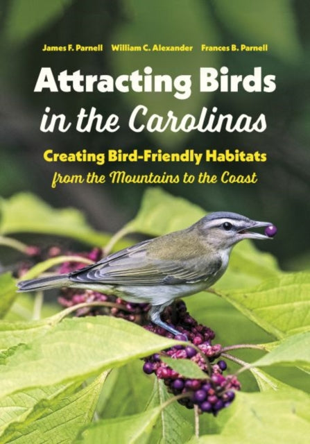 Attracting Birds In The Carolinas