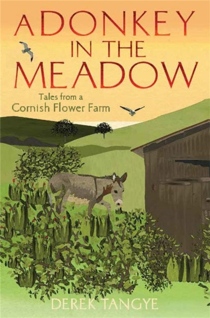 Donkey In The Meadow