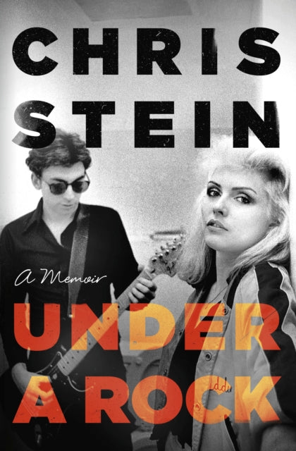 Under A Rock By Stein, Chris