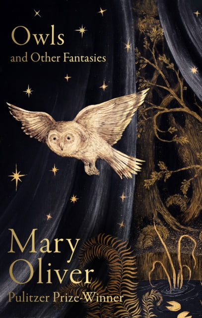 Owls & Other Fantasies By Oliver, Mary