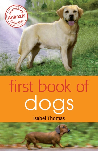 First Book Of Dogs