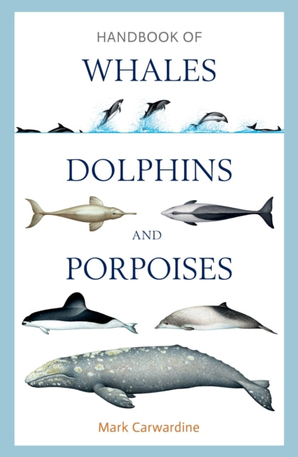 Handbook Of Whales Dolphins & Porpoises By Carwardine, Mark