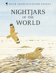 Nightjars Of The World