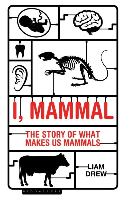 I Mammal