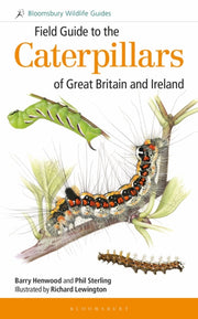 Field Guide Caterpillars Gb And Ireland