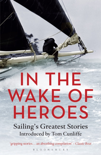 In The Wake Of Heroes