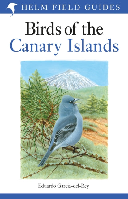 Birds Of The Canary Islands