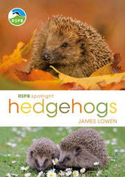 Rspb Spotlight Hedgehogs