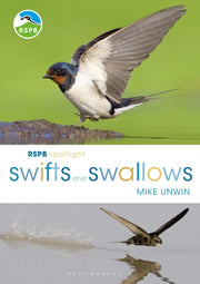 Rspb Spotlight Swifts & Swallows