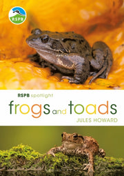 Frogs & Toads