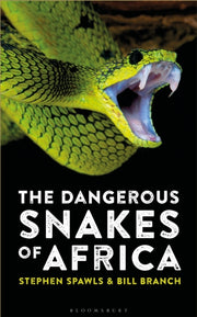 Dangerous Snakes Of Africa