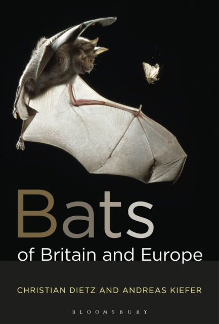 Bats Of Britain And Europe Bw By Dietz Christian