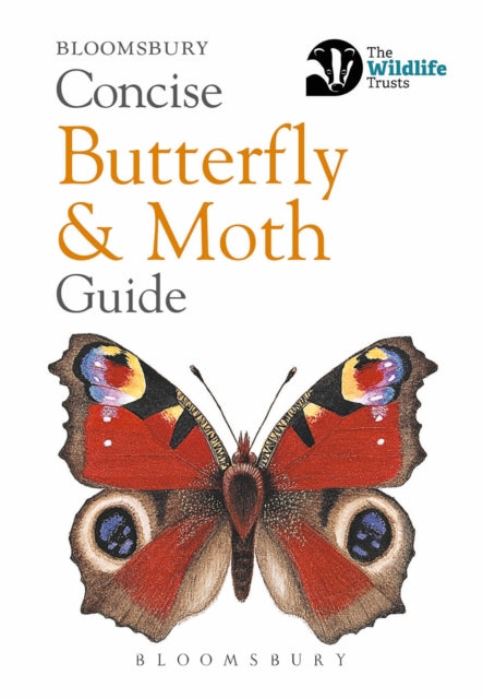 Concise Butterfly And Moth Guide Bw