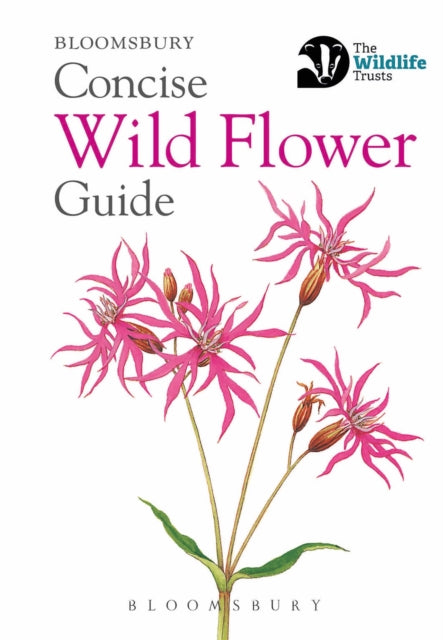 Concise Wild Flower Guide Bw