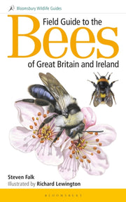 Field Guide/bees Of Great Britain & Irel By Falk, Steven