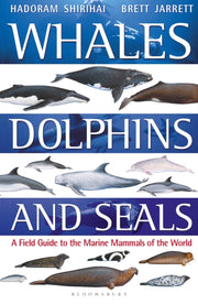 Whales Dolphins And Seals
