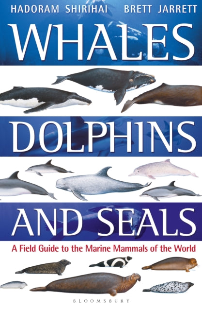 Whales Dolphins And Seals