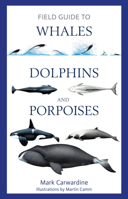 Field Guide/whales Dolphins & Porpoises
