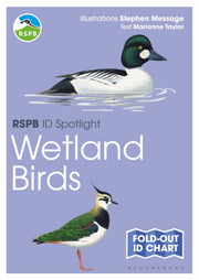 Rspb Id Spotlight Wetland Birds