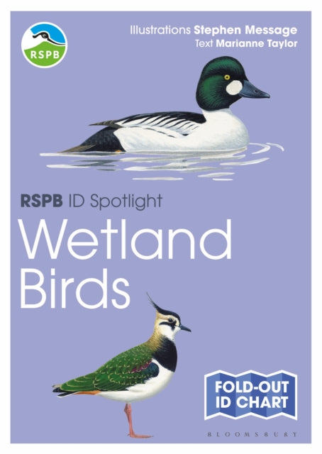 Rspb Id Spotlight Wetland Birds