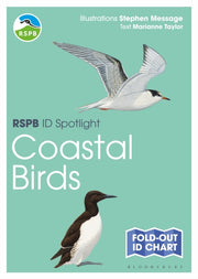 Rspb Id Spotlight Coastal Birds By Taylor  Marianne