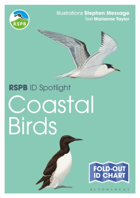Rspb Id Spotlight Coastal Birds By Taylor  Marianne