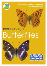 Rspb Id Spotlight Butterflies