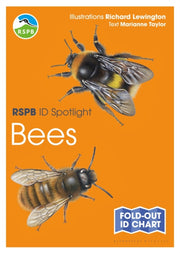 Rspb Id Spotlight Bees