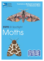 Rspb Id Spotlight Moths