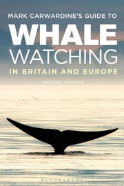Whale Watching In Britain & Europe