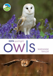 Rspb Spotlight Owls