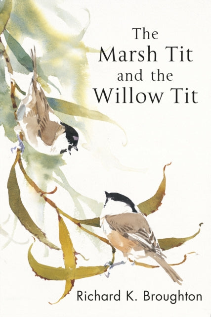 Marsh Tit & The Willow Tit