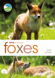 Rspb Spotlight Foxes