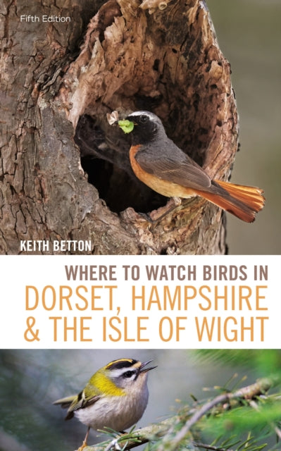 Where To Watch Birds In Dorset Hampshire