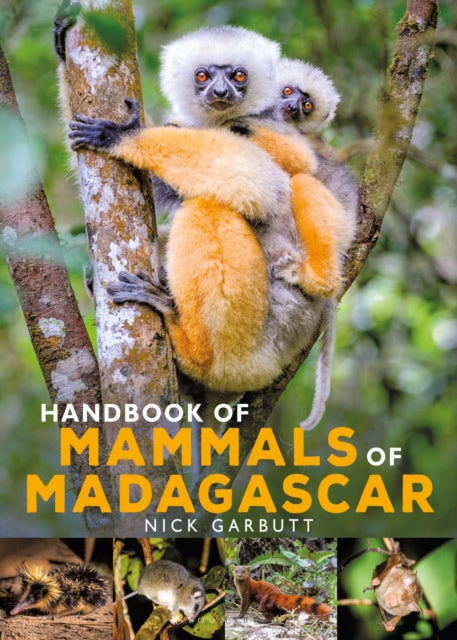 Handbook Of Mammals Of Madagascar By Garbutt, Nick