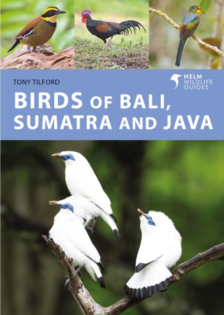 Birds Of Bali Sumatra & Java
