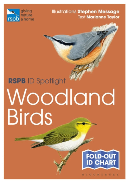 Rspb Id Spotlight Woodland Birds