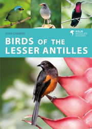 Birds Of The Lesser Antilles By Chenery Ryan