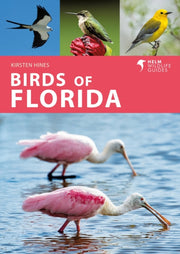 Birds Of Florida
