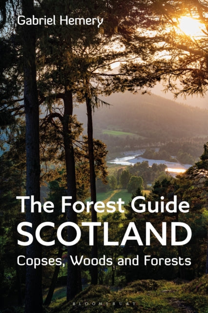 Forest Guide