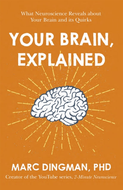 Your Brain Explained