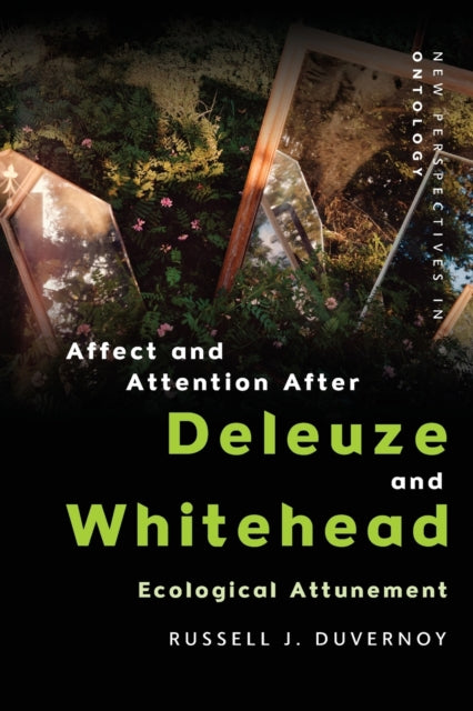 Affect And Attention After Deleuze