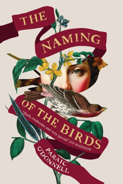 Naming Of The Birds By O'donnell, Paraic