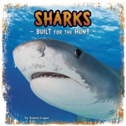 Sharks Built For The Hunt