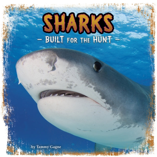 Sharks Built For The Hunt