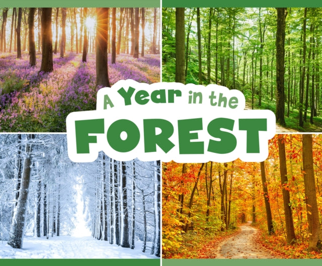 Year In The Forest