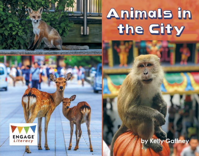 Animals In The City